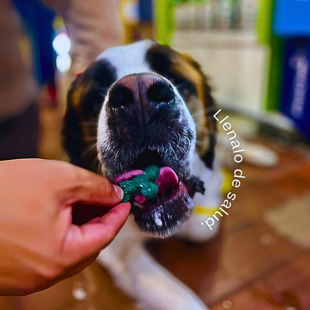 Snack para perros a base de Espirulina SPIRU PAW 180g