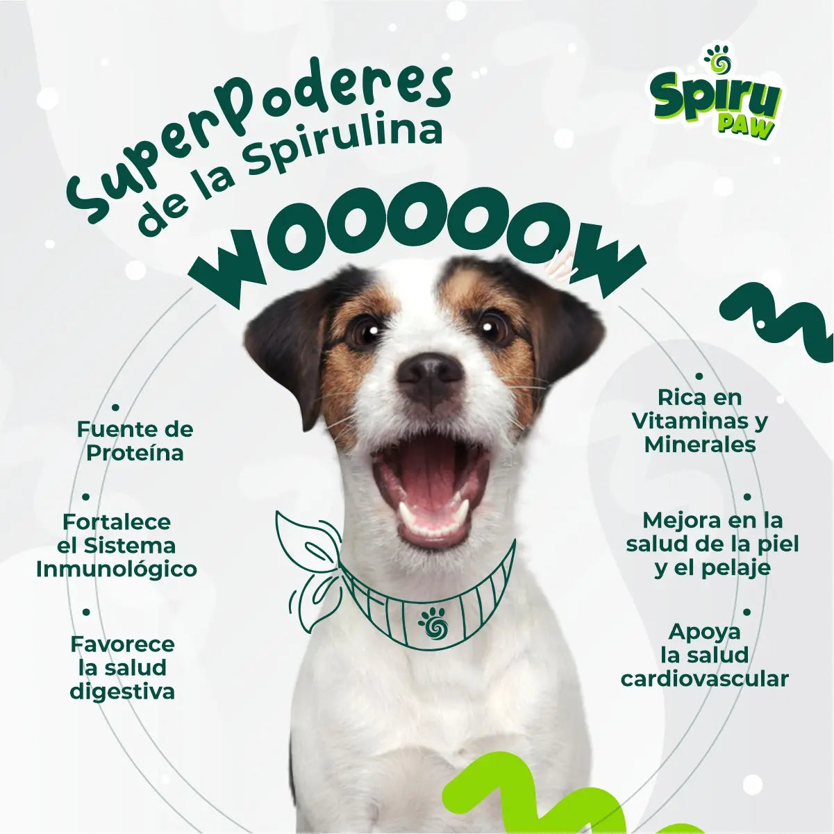 Pack x2 Espirulina en polvo y tabletas SPIRU PAW para perros y gatos