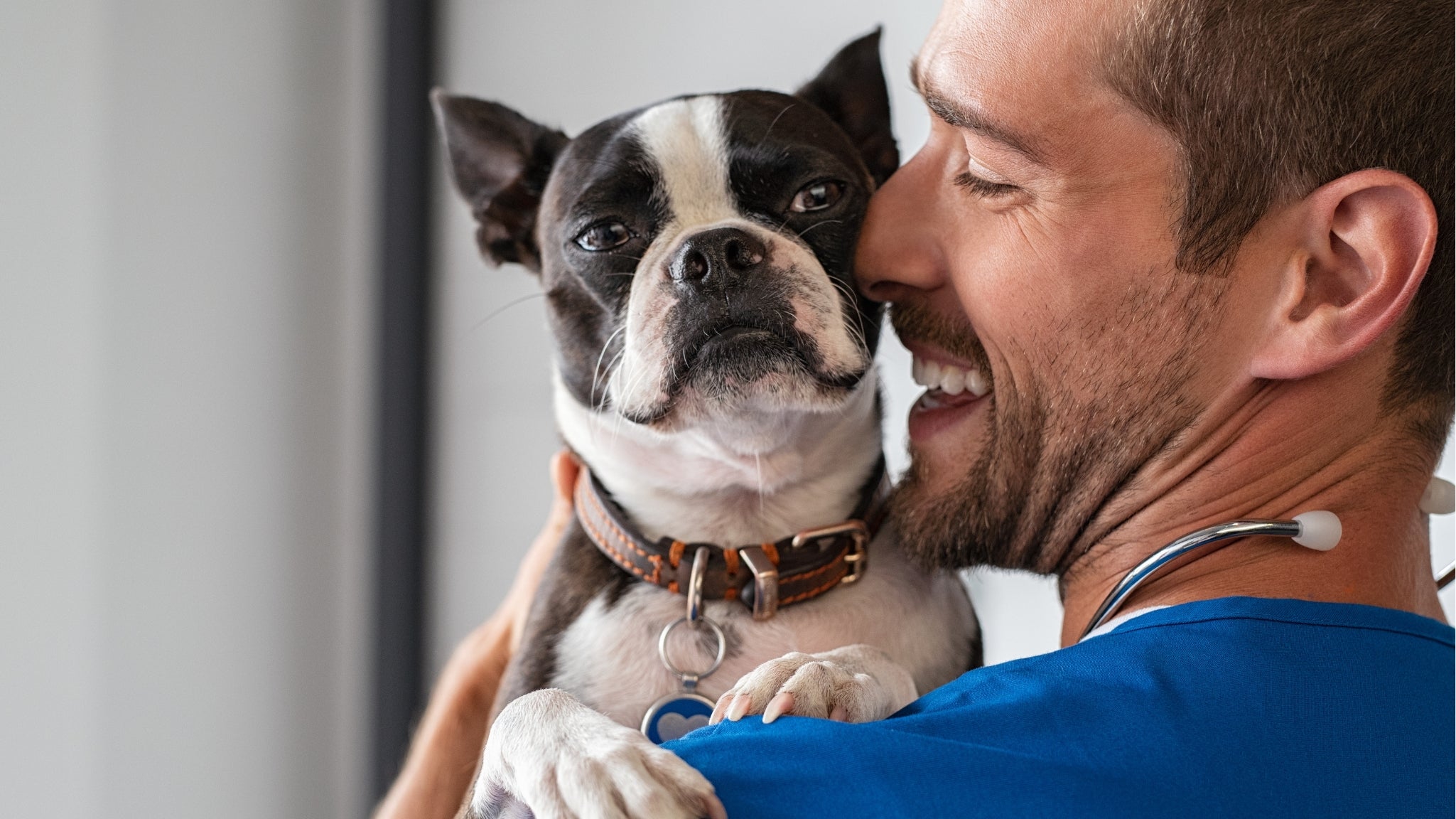 ❤️ Salud cardiovascular en mascotas: cuida su corazón desde adentro 🐶🐱