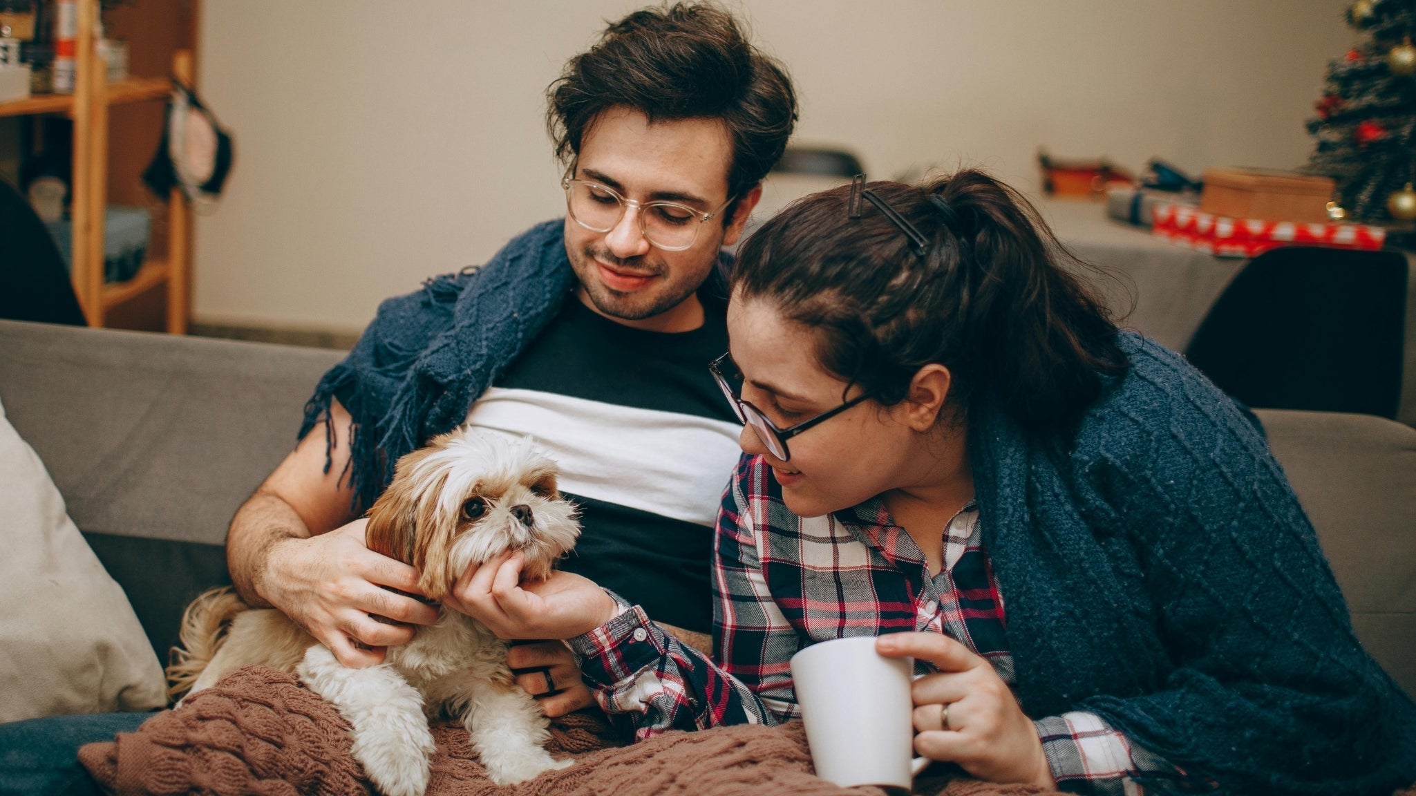 Soporte nutricional en casos de cáncer en mascotas: el rol de la espirulina 🧬