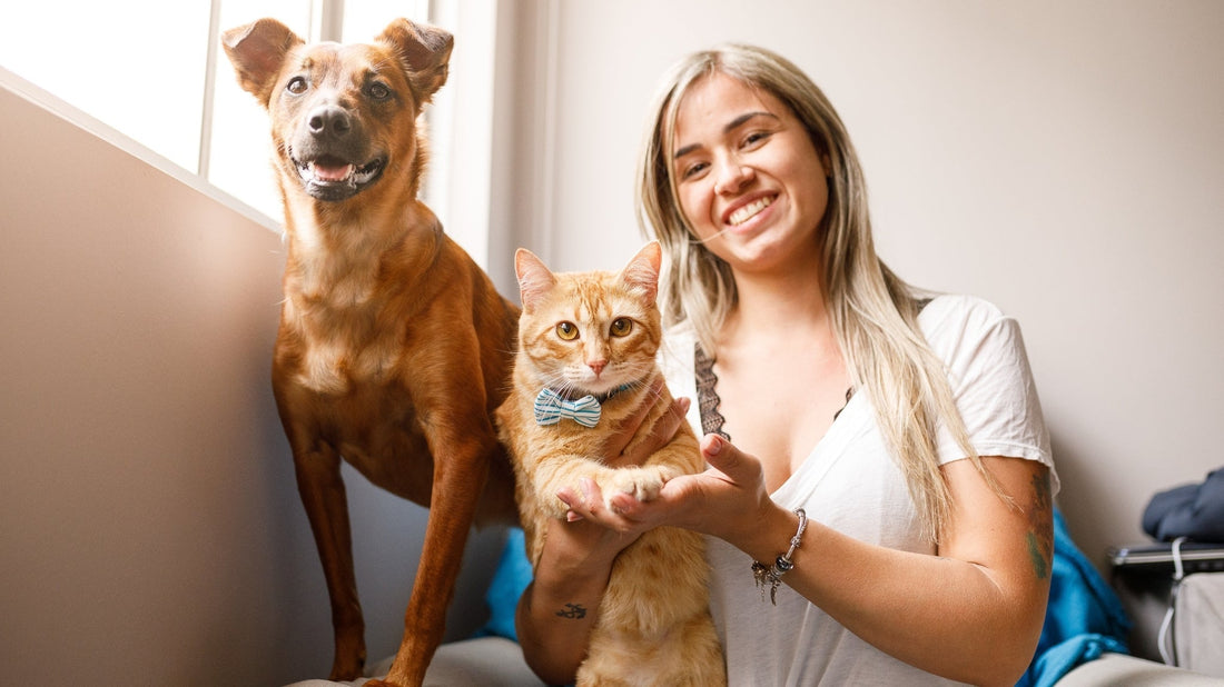 🐾 Control de alergias en la piel de tu mascota 🌿💚