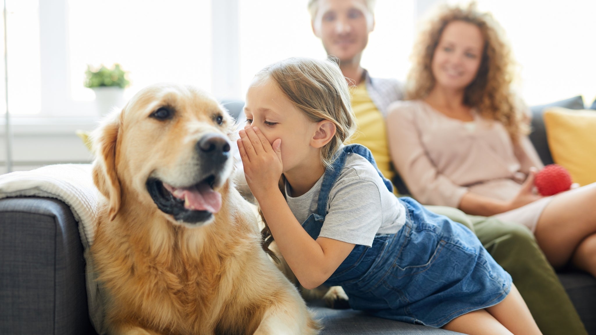 Pelaje y Salud de la Piel en Mascotas: Los Beneficios de la Espirulina de Spiru Paw 🐶