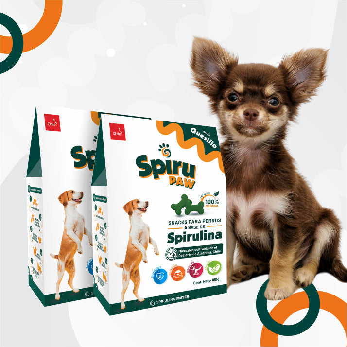 Snacks de Espirulina