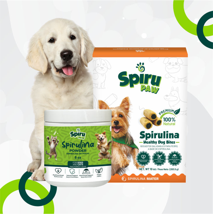 ¡Packs de felicidad! 🐕🐈🎁