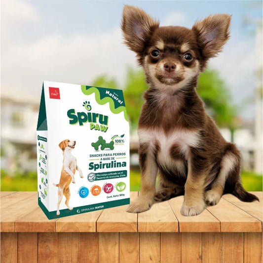 Pack x4 Snack a base de Espirulina SPIRU PAW para perros 180g C/U