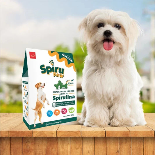 Snack para perros a base de Espirulina SPIRU PAW Aroma Quesillo 180g C/U