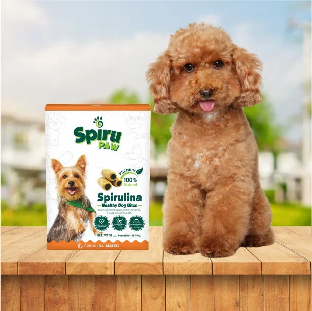 Bocaditos para perros SPIRU PAW a base de Espirulina 227g