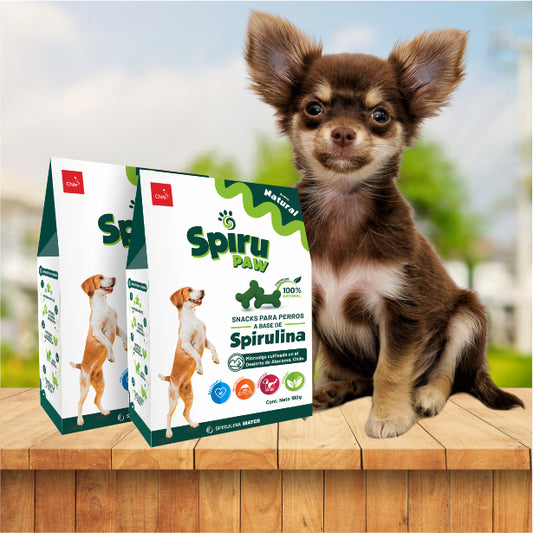 2 Snack para perros a base de Espirulina SPIRU PAW 180g C/U