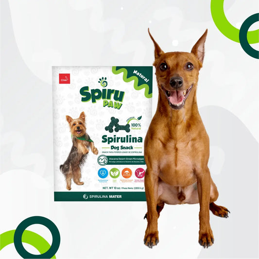Snack para perros a base de Espirulina SPIRU PAW 226g